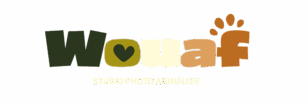 Wouaf Studio Photo
