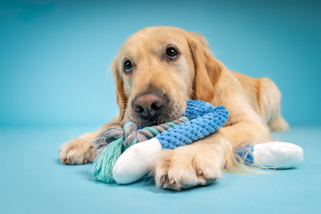 POPEYE Calendrierweb-2