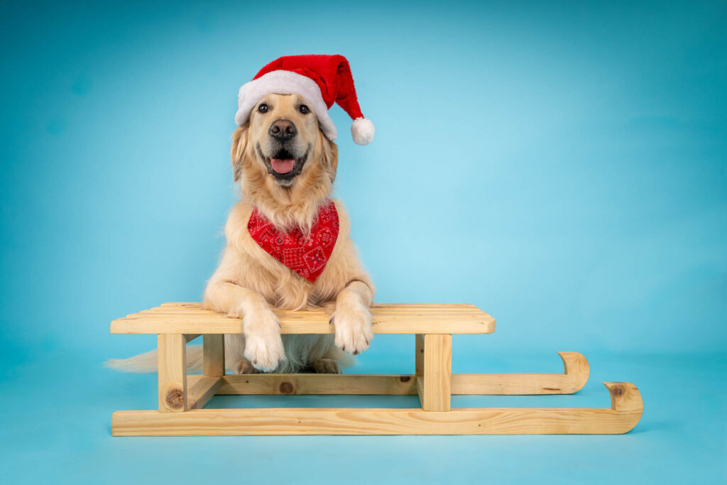 POPEYE Calendrierweb-4